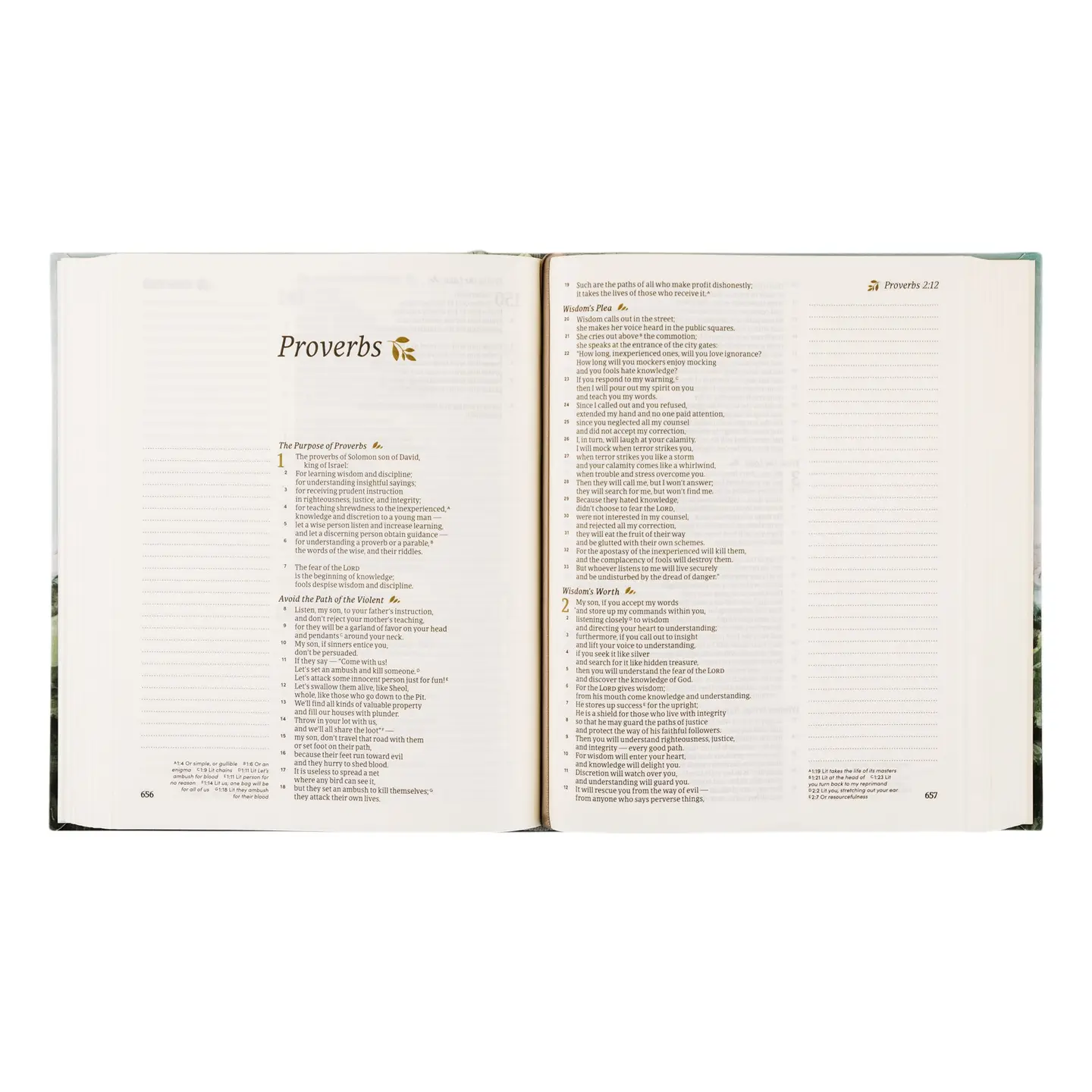 The Dublin Csb Notetaking Bible