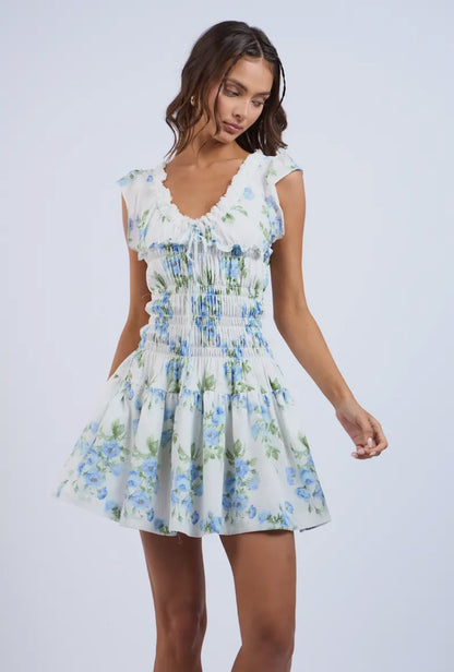 Garden Party Mini Dress